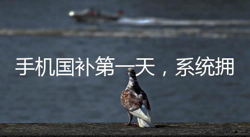 手機(jī)國(guó)補(bǔ)第一天，系統(tǒng)擁堵至癱瘓，引發(fā)業(yè)界熱議