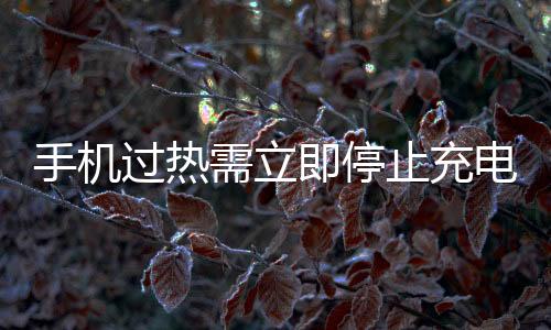 手機(jī)過熱需立即停止充電，關(guān)于手機(jī)散熱的重要性及應(yīng)對措施