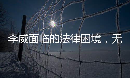 李威面臨的法律困境，無期或死刑的可能性探究