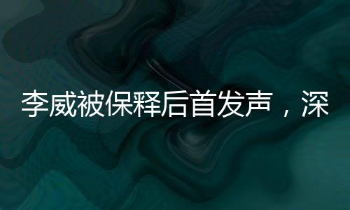 李威被保釋后首發(fā)聲，深度解讀其背后的故事與未來展望（標(biāo)題）
