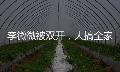 李微微被雙開(kāi)，大搞全家腐的丑聞