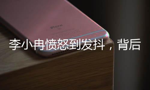 李小冉憤怒到發(fā)抖，背后的故事引人深思