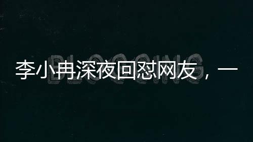 李小冉深夜回懟網(wǎng)友，一場(chǎng)深夜的爭(zhēng)論風(fēng)暴