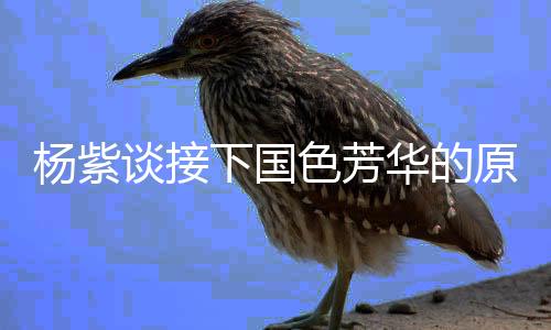 楊紫談接下國色芳華的原因