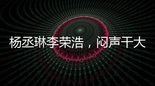 楊丞琳李榮浩，悶聲干大事的典范
