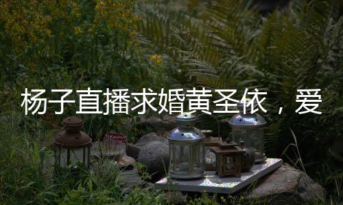 楊子直播求婚黃圣依，愛(ài)情與數(shù)字共舞的一刻