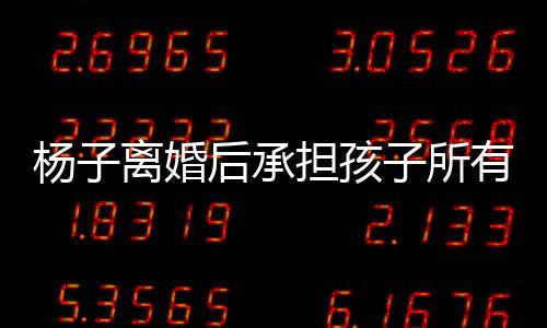 楊子離婚后承擔(dān)孩子所有費(fèi)用的決定，一窺背后的故事