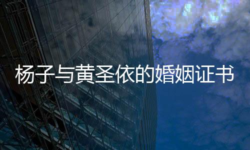 楊子與黃圣依的婚姻證書，揭秘二人的真實關系走向