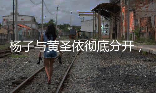 楊子與黃圣依徹底分開，一段無疾而終的婚戀傳奇