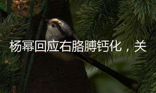 楊冪回應(yīng)右胳膊鈣化，關(guān)注健康，傳遞正能量