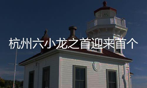 杭州六小龍之首迎來首個IPO申請，科技產(chǎn)業(yè)持續(xù)蓬勃發(fā)展新篇章