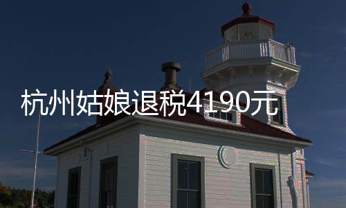 杭州姑娘退稅4190元，驚呼巨款——個稅年度匯算引發(fā)社會熱議