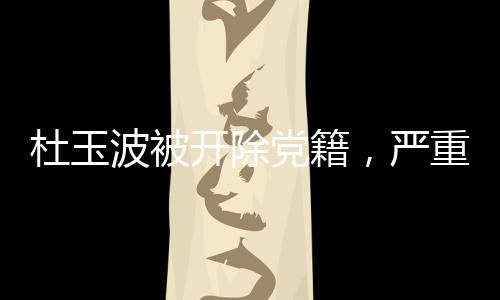 杜玉波被開除黨籍，嚴重違紀違法行為的警示與反思