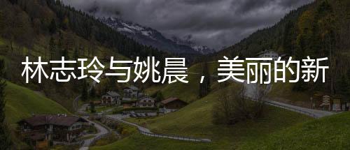林志玲與姚晨，美麗的新時(shí)代典范