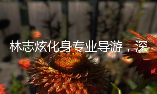 林志炫化身專業(yè)導(dǎo)游，深度解讀拙政園之美