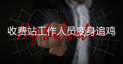 收費(fèi)站工作人員變身追雞者，一場(chǎng)意外的田園冒險(xiǎn)