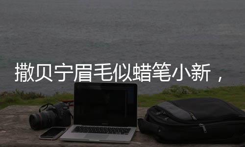 撒貝寧眉毛似蠟筆小新，一場關(guān)于模仿與魅力的熱議