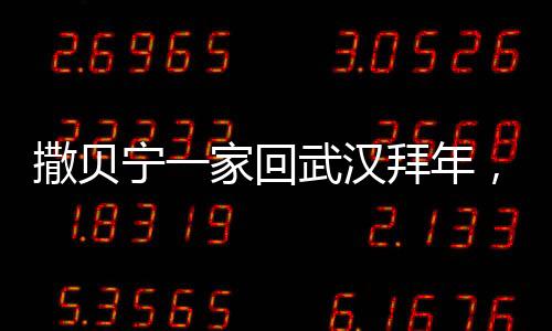 撒貝寧一家回武漢拜年，外籍妻子搶眼——探尋文化與情感交融的新時(shí)代畫面