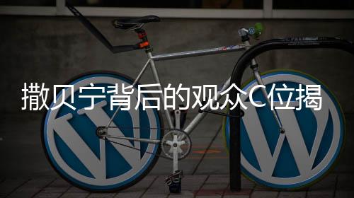 撒貝寧背后的觀眾C位揭秘，一場(chǎng)關(guān)于舞臺(tái)與矚目的熱議話題