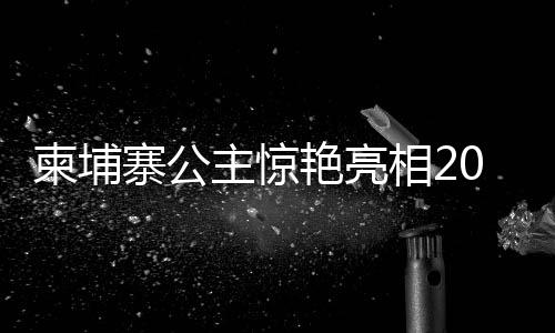柬埔寨公主驚艷亮相2025云南春晚，文化交融之夜熠熠生輝
