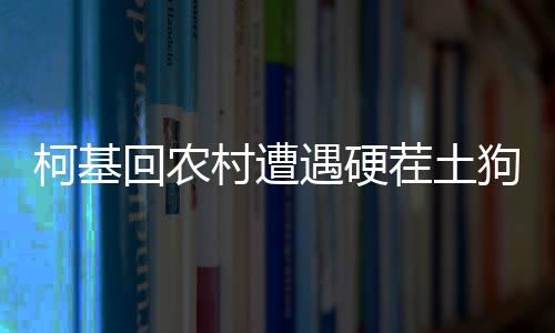 柯基回農(nóng)村遭遇硬茬土狗，經(jīng)歷一次震撼心靈的教育