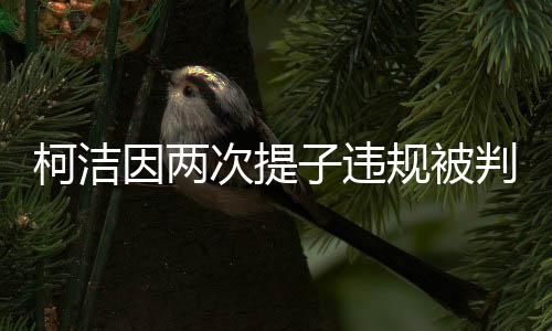 柯潔因兩次提子違規(guī)被判負(fù)——圍棋賽場(chǎng)上的規(guī)則與尊重