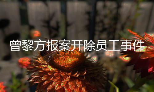 曾黎方報(bào)案開除員工事件詳解