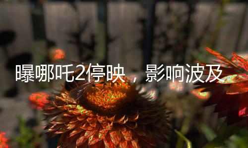 曝哪吒2停映，影響波及300家影院，業(yè)界熱議背后原因