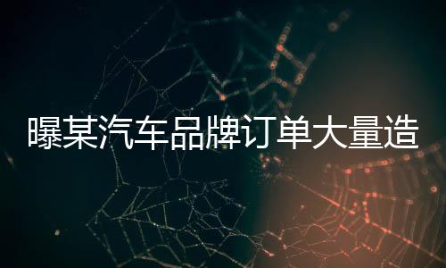 曝某汽車品牌訂單大量造假，深度調(diào)查與揭秘