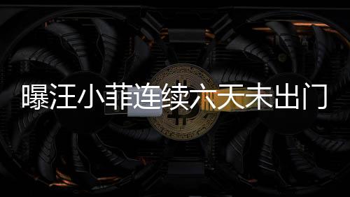 曝汪小菲連續(xù)六天未出門，S媽回應