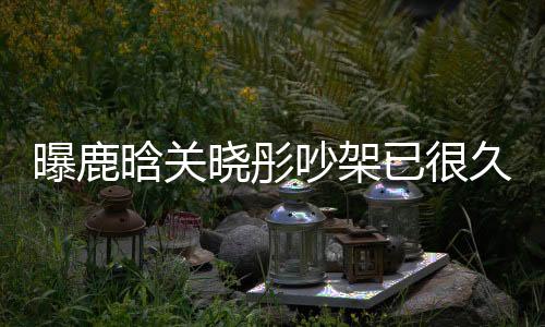 曝鹿晗關(guān)曉彤吵架已很久沒(méi)聯(lián)系，戀情疑似生變？一、引言