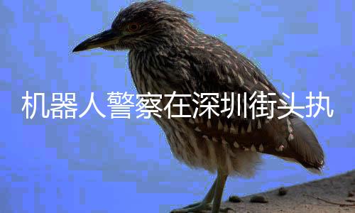 機器人警察在深圳街頭執(zhí)勤，未來警務模式的嶄新篇章