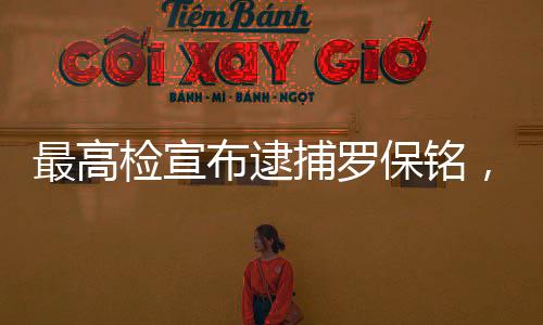 最高檢宣布逮捕羅保銘，引發(fā)社會(huì)關(guān)注