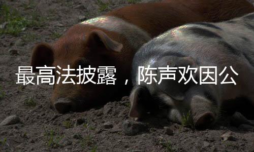 最高法披露，陳聲歡因公犧牲——緬懷一位敬業(yè)奉獻(xiàn)的司法英雄