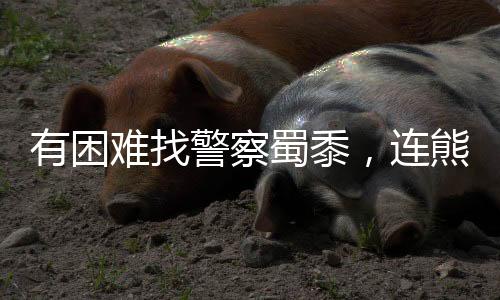 有困難找警察蜀黍，連熊貓都知道