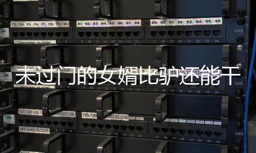 未過(guò)門的女婿比驢還能干——記一段新時(shí)代下的佳話傳奇