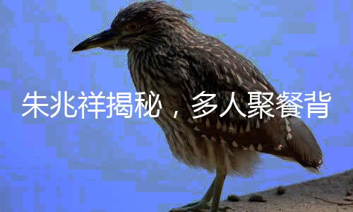 朱兆祥揭秘，多人聚餐背后的真實(shí)目的，究竟是為了見(jiàn)胡靜？
