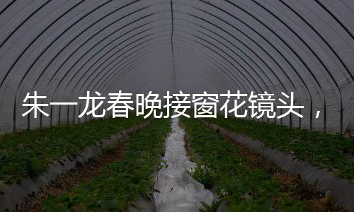 朱一龍春晚接窗花鏡頭，細(xì)節(jié)之處展現(xiàn)精湛演技，共錄20次展現(xiàn)完美時(shí)刻