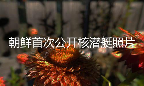 朝鮮首次公開核潛艇照片，背后隱藏的深意與影響分析