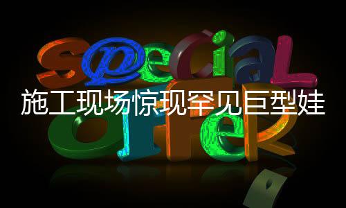 施工現(xiàn)場(chǎng)驚現(xiàn)罕見(jiàn)巨型娃娃魚(yú)，生態(tài)保護(hù)的珍貴見(jiàn)證