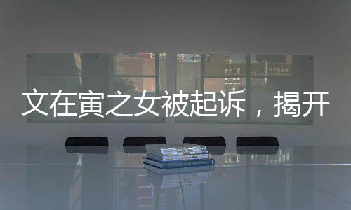 文在寅之女被起訴，揭開事件真相的序幕