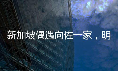 新加坡偶遇向佐一家，明星家庭的溫馨瞬間