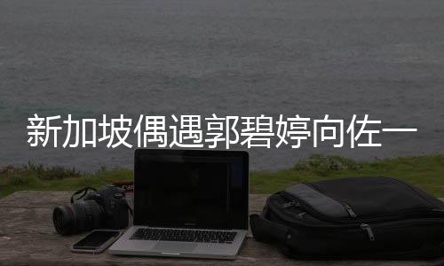 新加坡偶遇郭碧婷向佐一家，星光熠熠的親子游