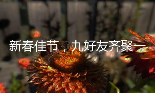 新春佳節(jié)，九好友齊聚一堂共賀父母新年祝福