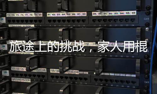 旅途上的挑戰(zhàn)，家人用棍子抬著一只不愿行走的狗子的奇妙旅程