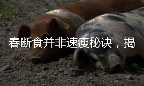 春斷食并非速瘦秘訣，揭示背后的謠言真相