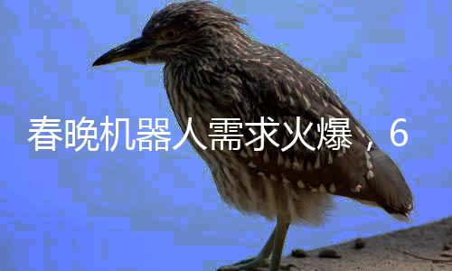 春晚機器人需求火爆，65萬元一機難求