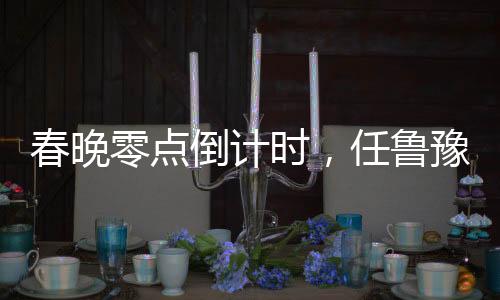 春晚零點倒計時，任魯豫救場，閃耀舞臺之夜