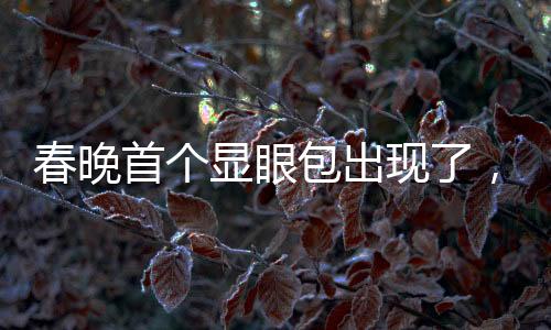 春晚首個(gè)顯眼包出現(xiàn)了，揭秘舞臺上的獨(dú)特亮點(diǎn)