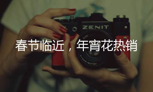 春節(jié)臨近，年宵花熱銷